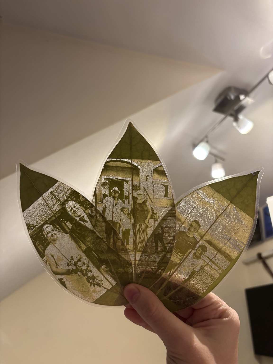 A collection of three personalised photographs engraved onto natural leaves