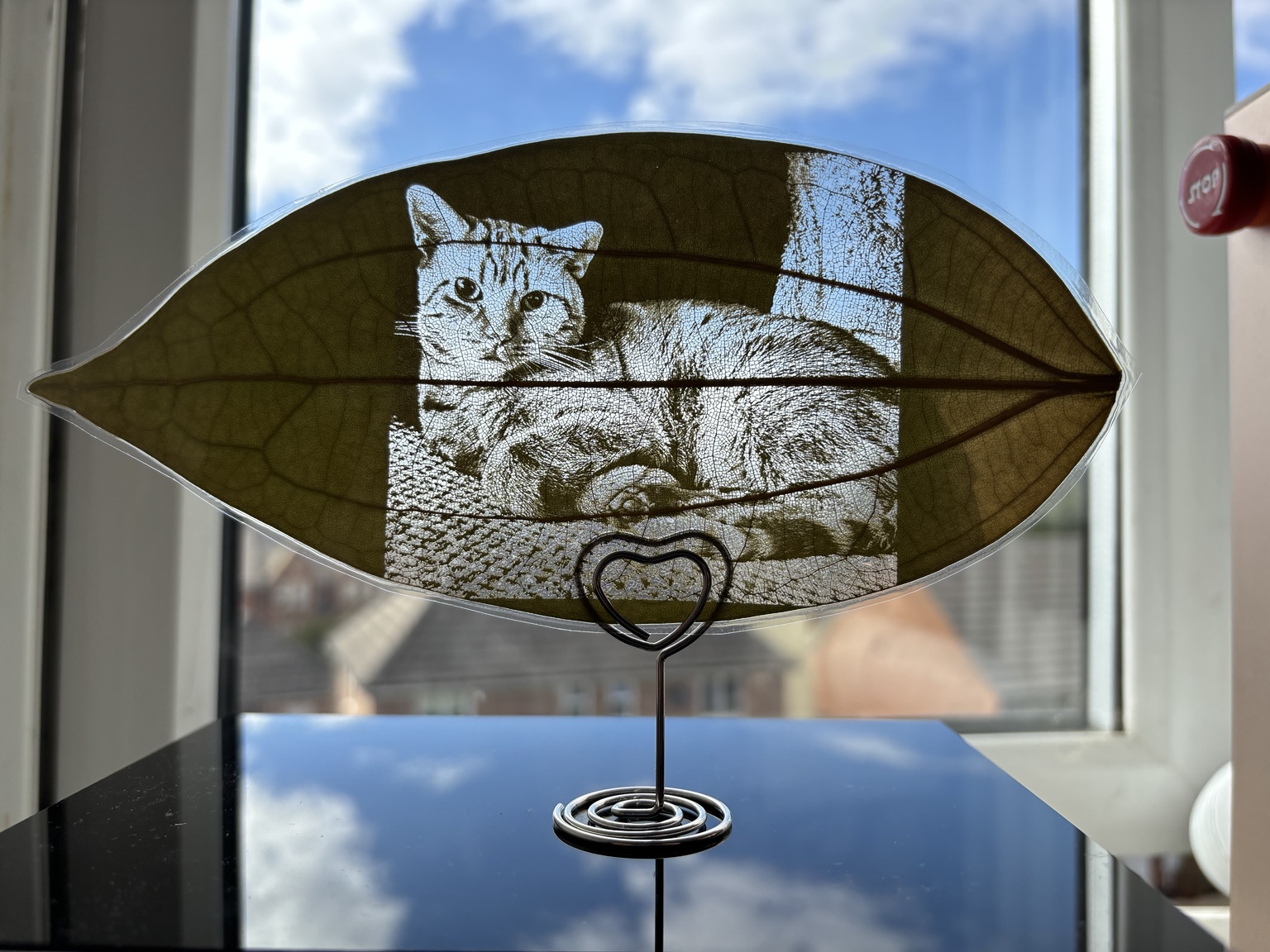 Cat and dog portrait engraved onto a natural leaf